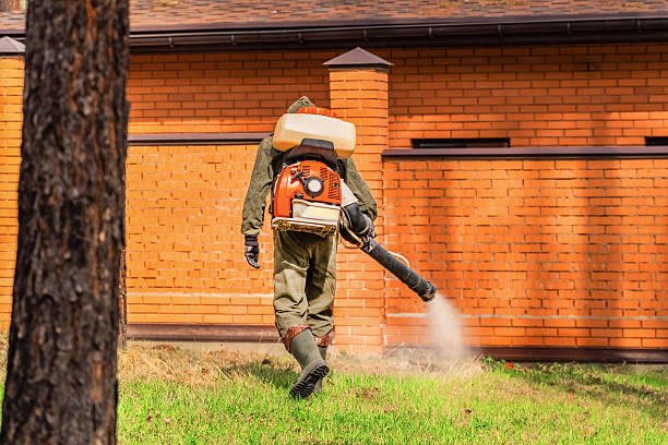 Trusted Fumigation Services service in Old Greenwich, CT - Nex Pest Control